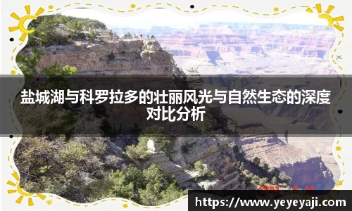 k1体育官方网站